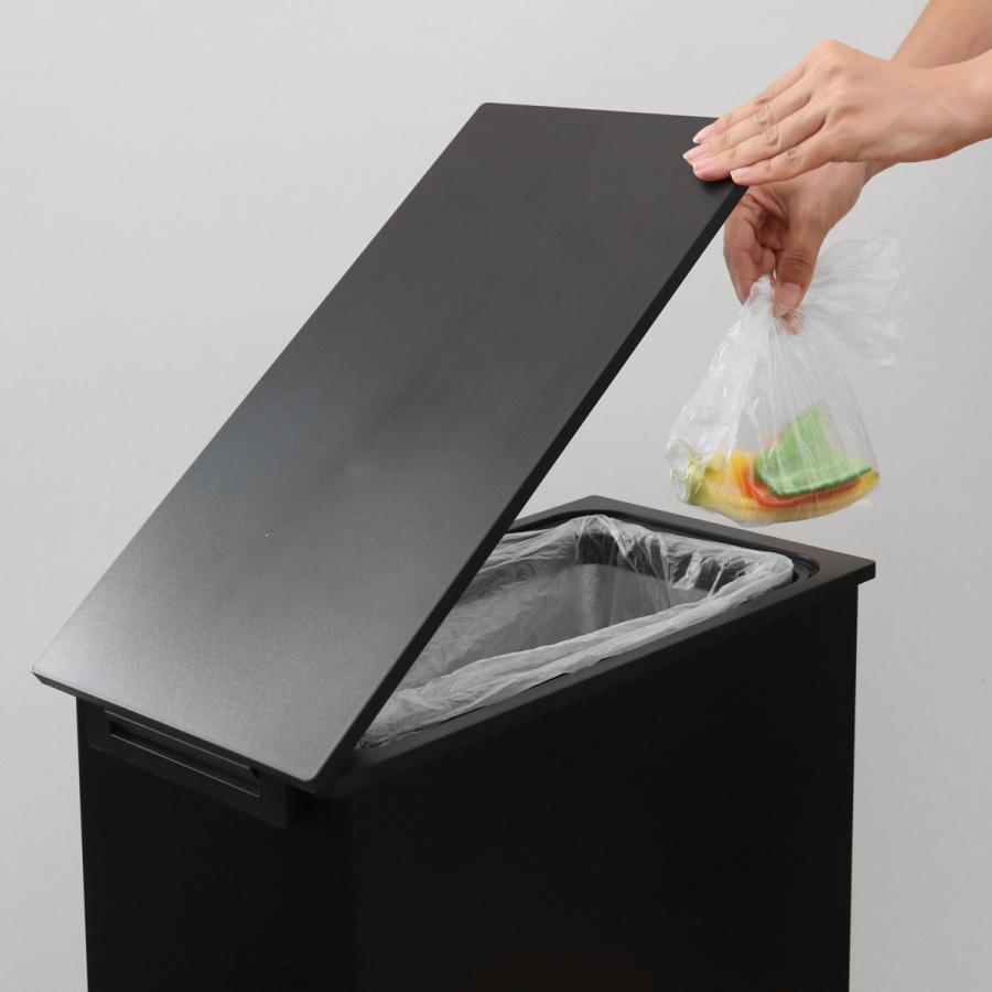 SANKA ゴミ箱 20L 冷やすゴミ箱 CLEAN BOX ( ごみ箱 冷凍 20 SANKA ゴミ箱 20L 冷やすゴミ箱 CLEAN BOX ( ごみ箱 冷凍 20