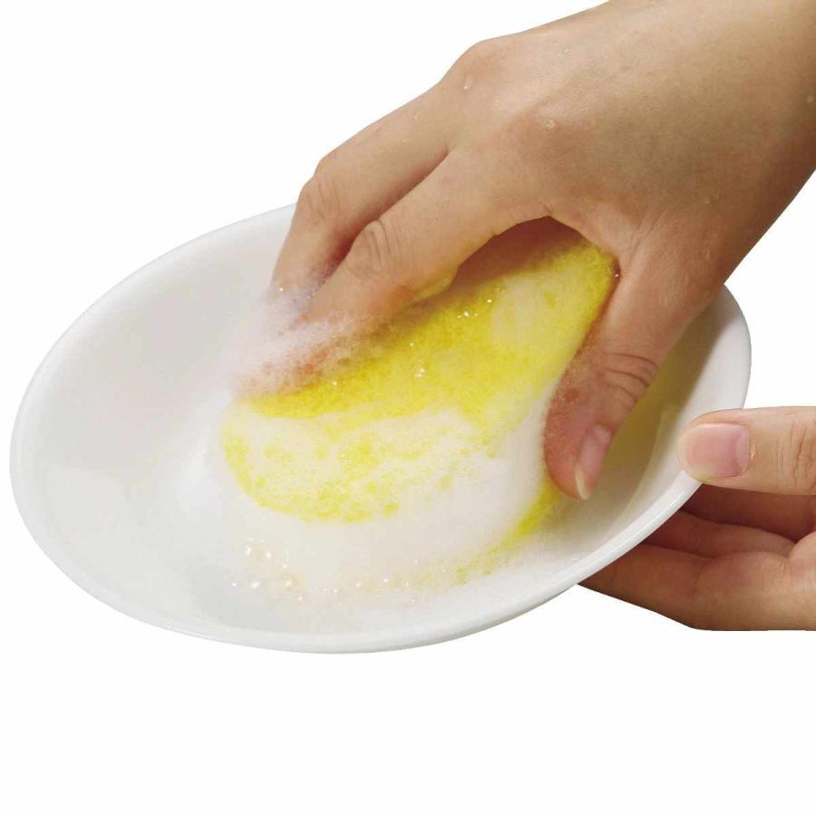 ランチプレート 21.5cm CORELLE コレール シロクマ 強化ガラス 5枚セット （ 食洗機対応 電子レンジ対応 オーブン対応 仕切り皿 アニマル 動物 ）の画像