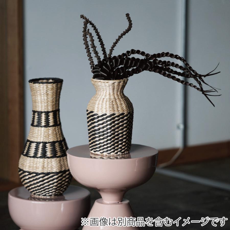 magnet ドライフラワー CASTO （ バナナスティック 枝 枝物 インテリア