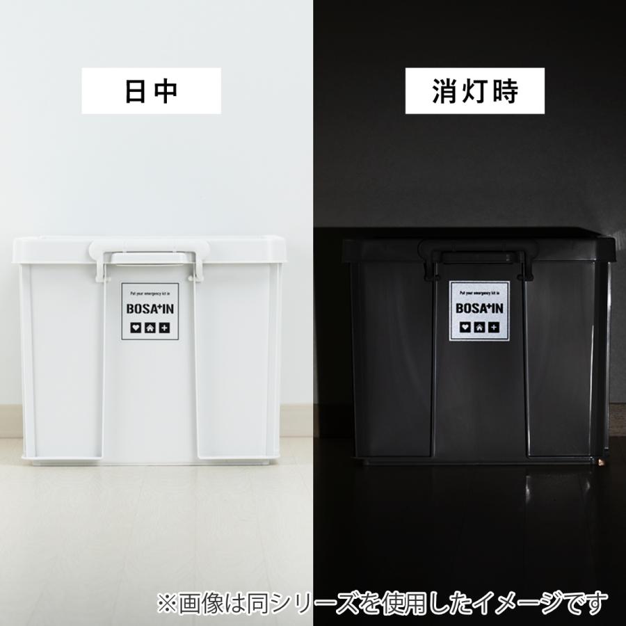 天馬 コンテナボックス ベランダキャスターボックス BOSA+IN 幅48×奥行