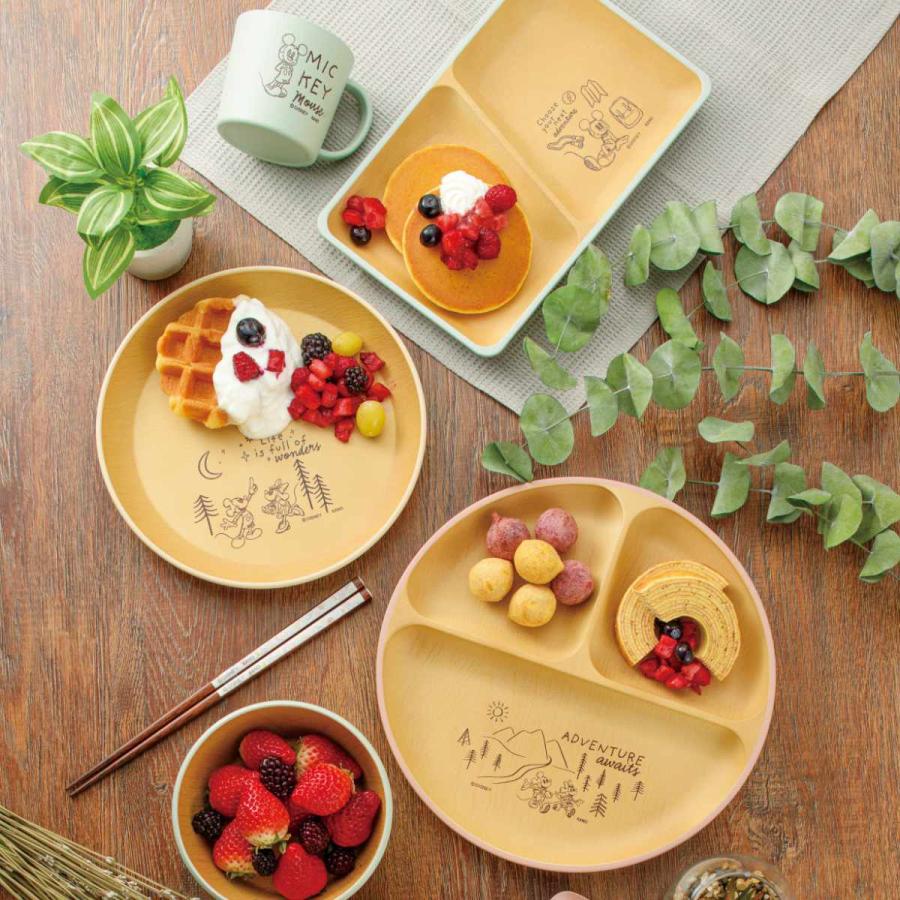 カノー ボウル 500ml mA 抗菌セット 2個入 ミッキーマウス （ 日本製