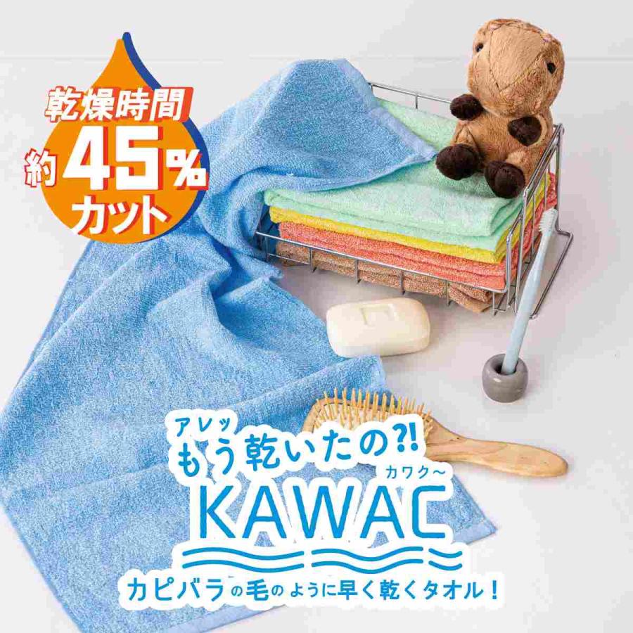 泉州タオル フェイスタオル KAWAC カピバラの毛のように早く乾くタオル