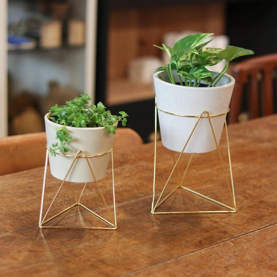 Creer フラワースタンド インブルーム ラインポットスタンド L