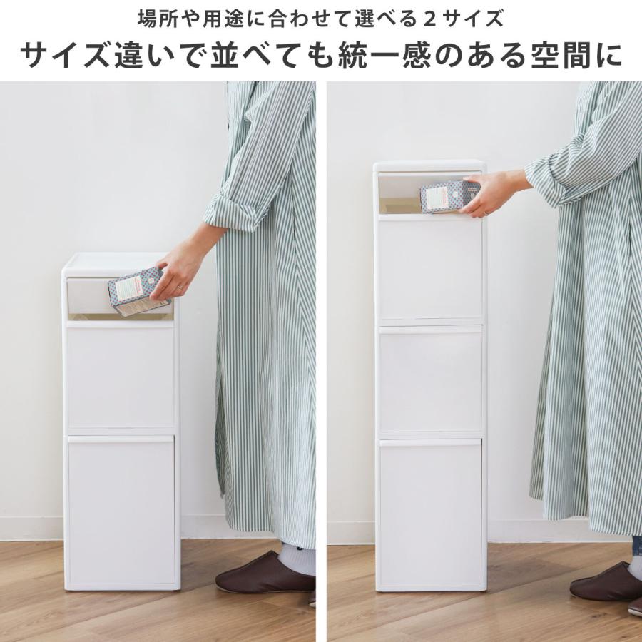 吉川国工業所 特典付き ゴミ箱 45L 2段 幅25.5cm 隙間で使える