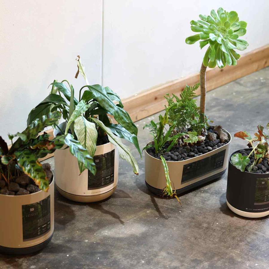 magnet 植木鉢 エスジーアイポット S 5号 受け皿付き （ フラワー