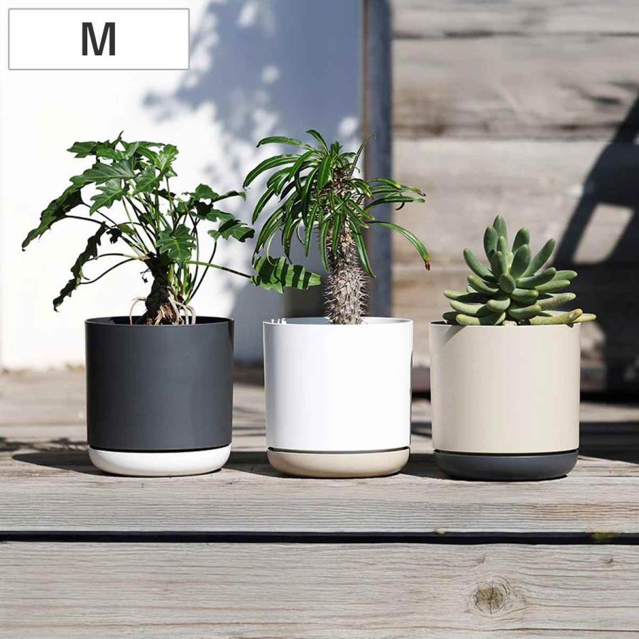 magnet 植木鉢 エスジーアイポット M 6号 受け皿付き （ フラワー