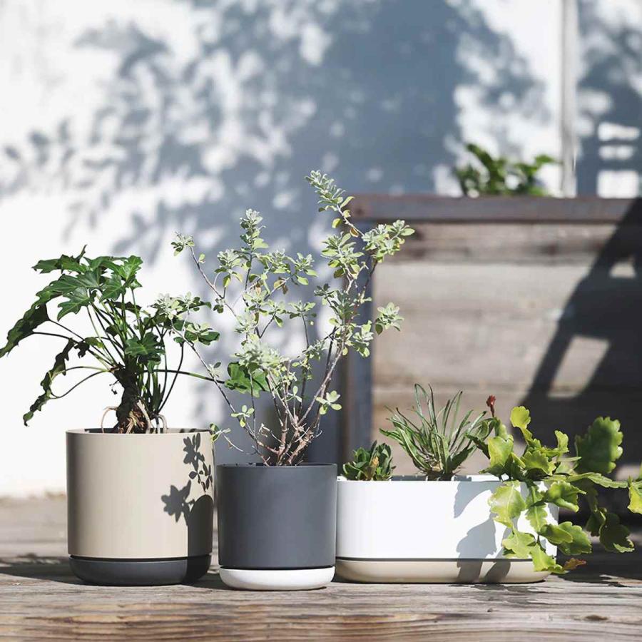 （G6）超珍品　特殊な鉢 magnet 植木鉢 エスジーアイポット M 6号 受け皿付き （ フラワー