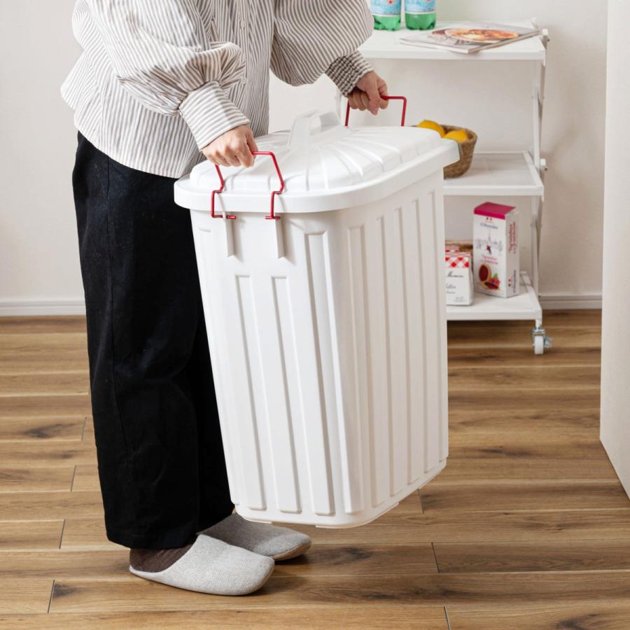 東谷 ゴミ箱 タフカン 60L 大容量 屋外 日本製 耐衝撃 フタ付き 軽い