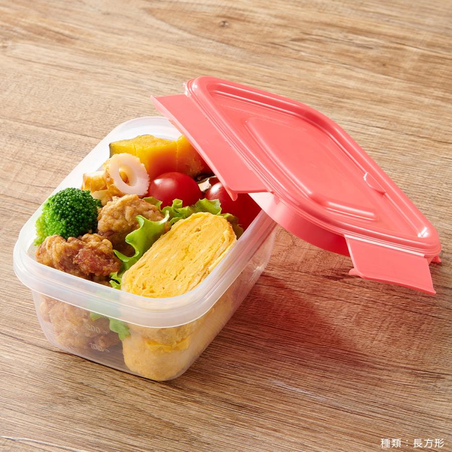 EBiSU（エビス） 保存容器 480ml パックスタッフ ジャストロック