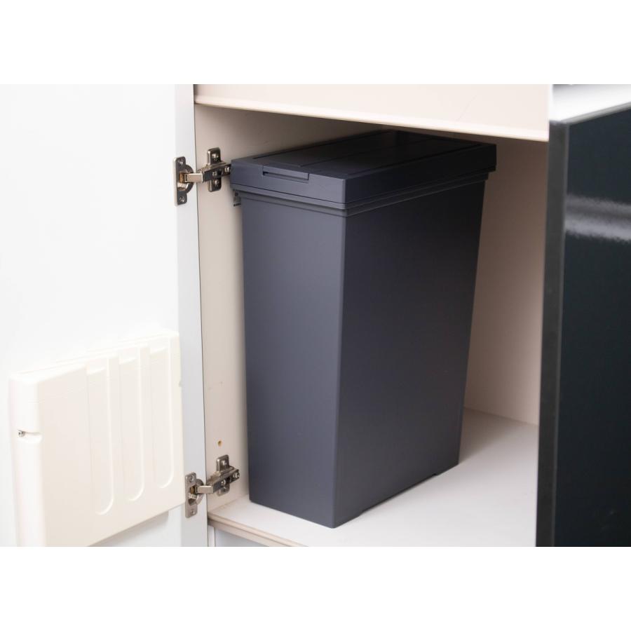 アスベル（ASVEL） ゴミ箱 20L 2個セット 棚下で使える 両開き