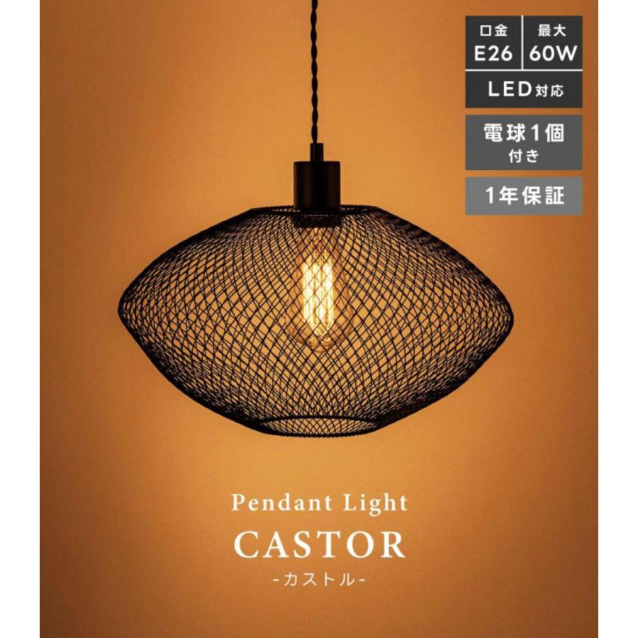 東谷 ペンダントライト LED対応 電球付き CASTOR （ カストル 照明