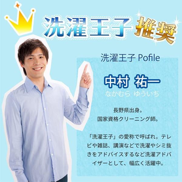 激落ちくん 洗濯せっけん （ 部分洗い用 衣類用 石けん