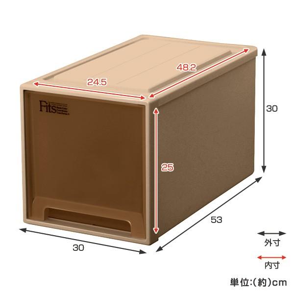 Fits 収納ケース Fits フィッツケースクローゼット L−30 ブラウン