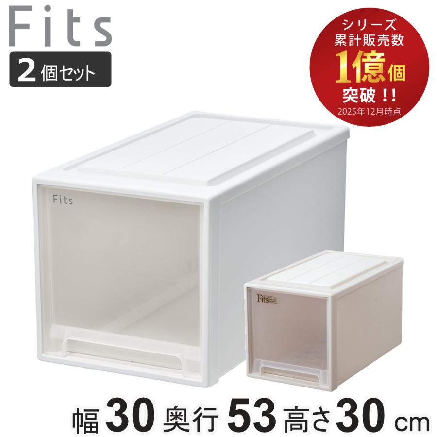収納ケース Fits フィッツ フィッツケース クローゼット L-30 同色2個セット （ 衣装ケース 収納 幅30 奥行53 高さ30 天馬 日本製 ）（Yahoo!・リビングート ヤフー店）