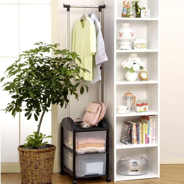 パイプハンガー 衣装ケース ハンガーボックス 2S型 キャスター付