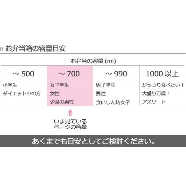 お弁当箱 2段 NATIVE HEART スクエアネストランチ FREE&EASY 600ml 保冷剤付き （ 弁当箱 ランチボックス 食洗機対応 レンジ対応 保冷剤 女子 大人 ）｜livingut｜14