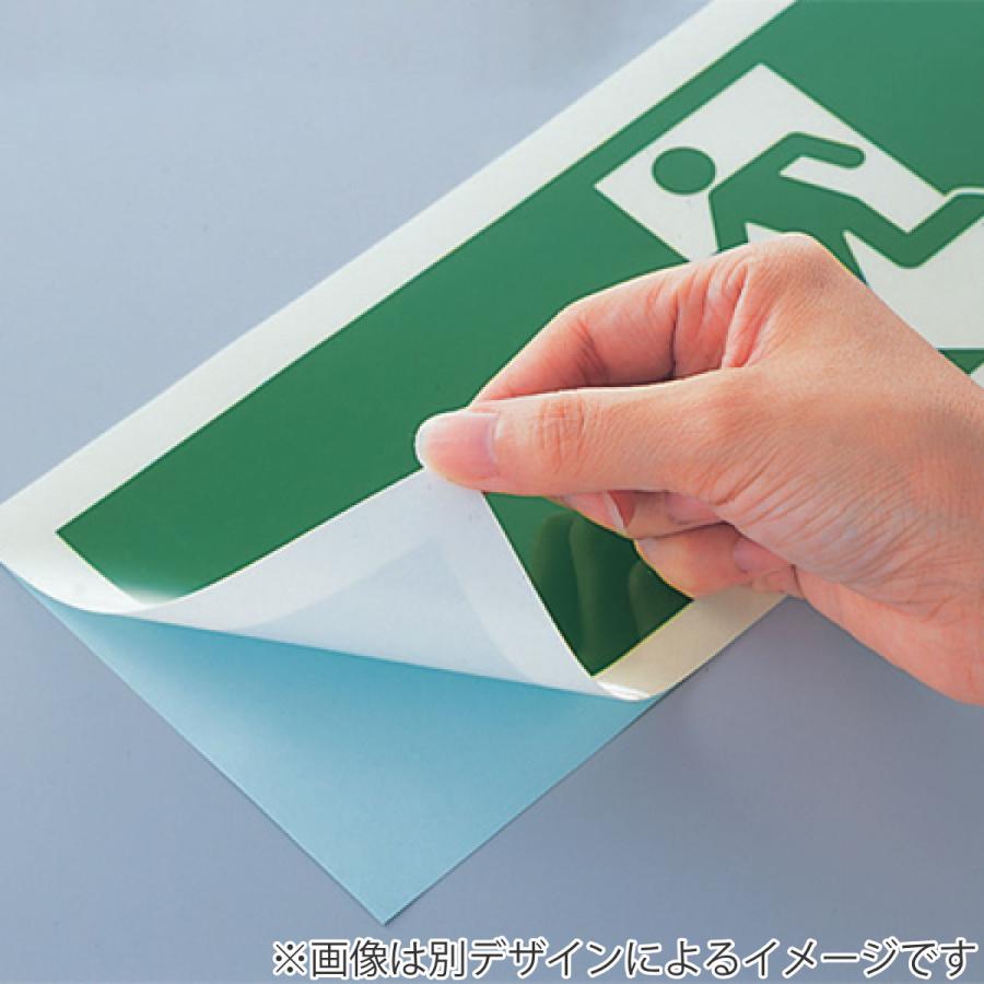 日本緑十字社 非常口マーク標識 避難口誘導 高輝度蓄光タイプ 日本緑十字社 非常口マーク標識 避難口誘導 高輝度蓄光タイプ