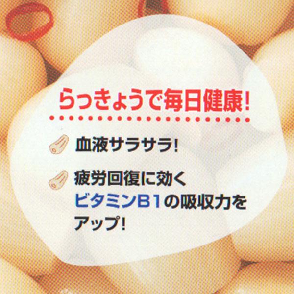 梅酒びん 保存容器 漬け上手 らっきょう 2L ガラス製 持ち手付き （ 長期保存果実酒びん ガラス製保存容器 果実酒びん ）｜livingut｜04