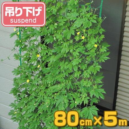 緑のカーテン 吊り下げ 幅80cm×高さ5m （ グリーンカーテン 日よけ