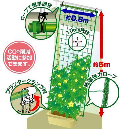 緑のカーテン 吊り下げ 幅80cm×高さ5m （ グリーンカーテン 日よけ