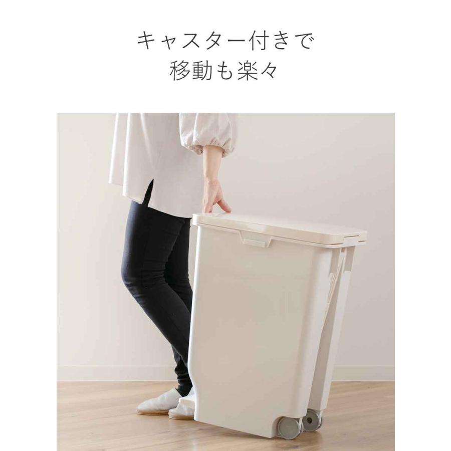 TONBO(新輝合成) ゴミ箱 60L ふた付き セパ 抗菌 分別 スリム TONBO(新輝合成) ゴミ箱 60L ふた付き セパ 抗菌 分別 スリム