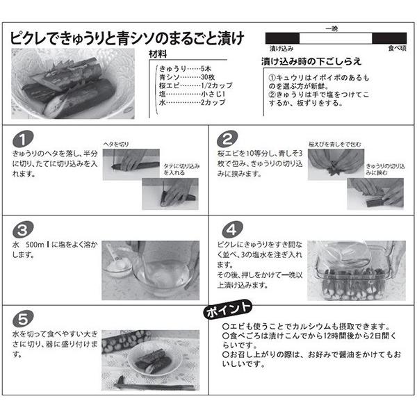 漬物容器 即席つけもの器 角型 900ml プラスチック Picre ピクレ （ 漬物器 漬物桶 漬け物容器 つけもの器 漬物 漬け物 日本製 ）｜livingut｜05