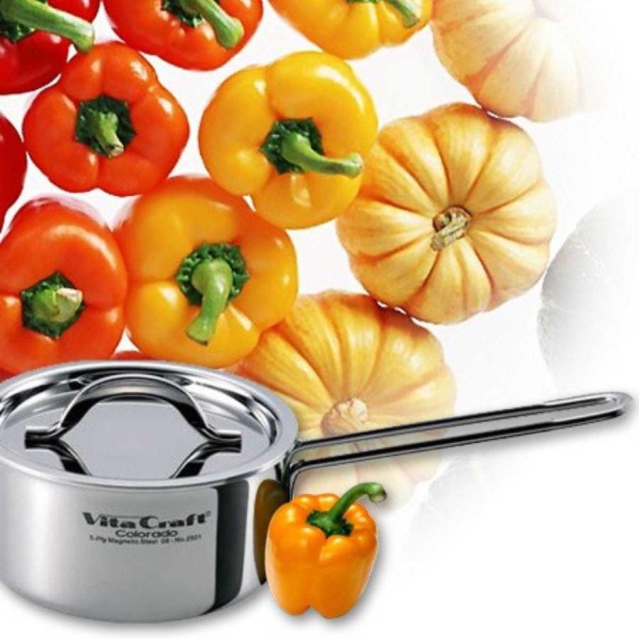Vita Craft（ビタクラフト） 両手鍋 20cm 3.1L コロラド No.2504 IH