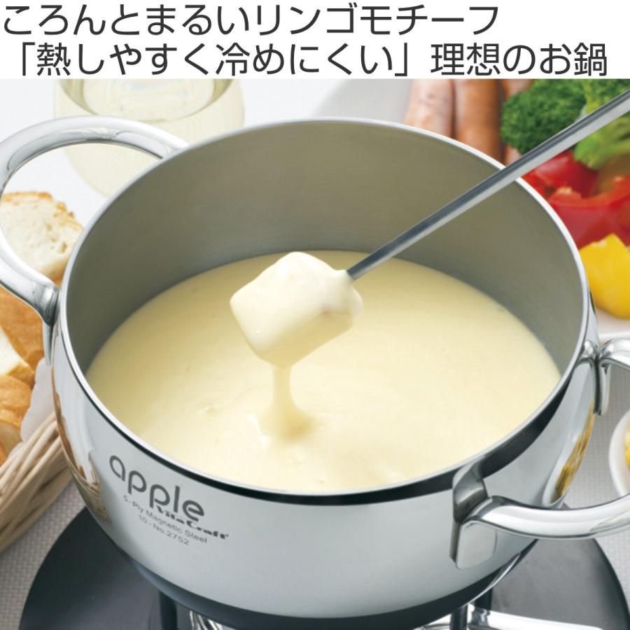 Vita Craft（ビタクラフト） 無水調理鍋 24cm 6.6L IH対応 アップル