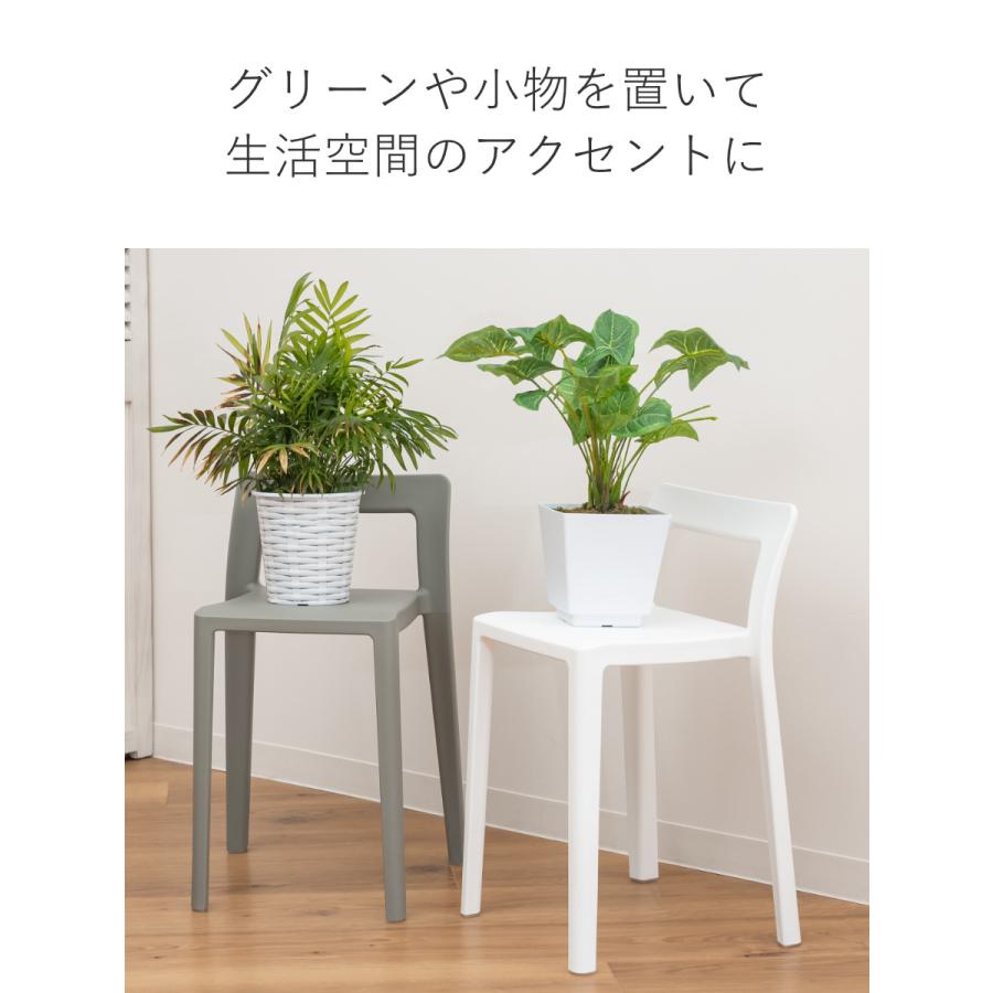岩谷マテリアル 特典付き スタッキングチェア 軽量 座面高40.5cm 岩谷マテリアル 特典付き スタッキングチェア 軽量 座面高40.5cm
