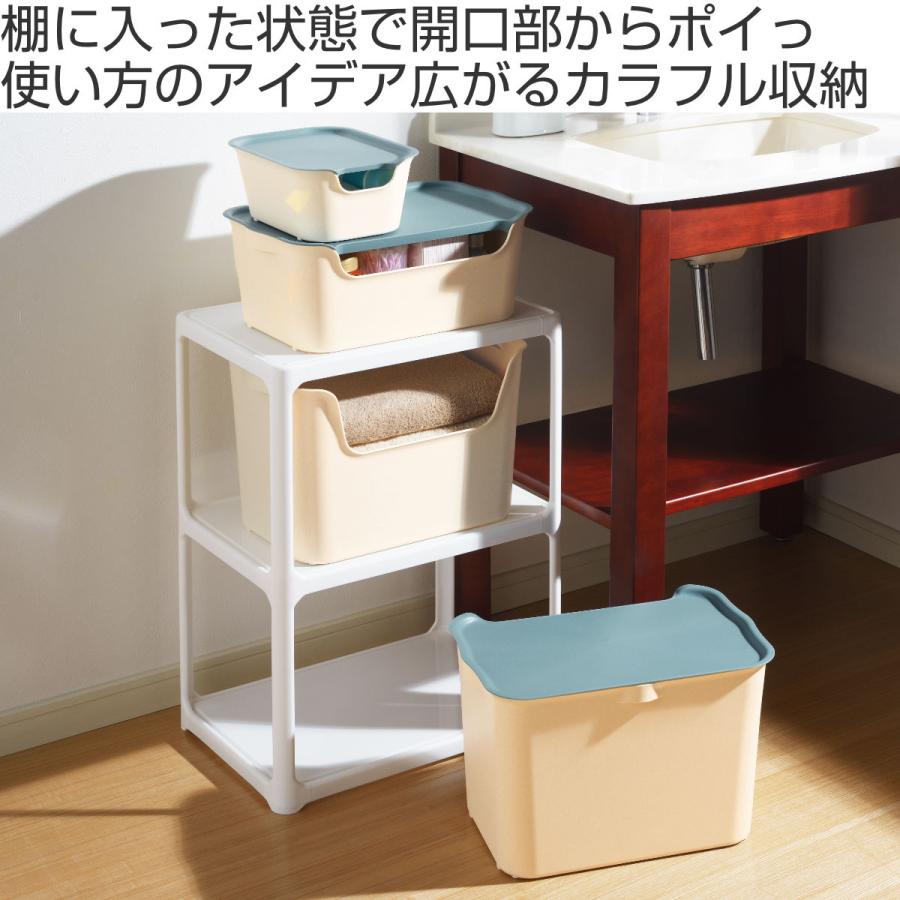SANKA 収納ボックス カタス L カラーボックス インナーボックス SANKA 収納ボックス カタス L カラーボックス インナーボックス