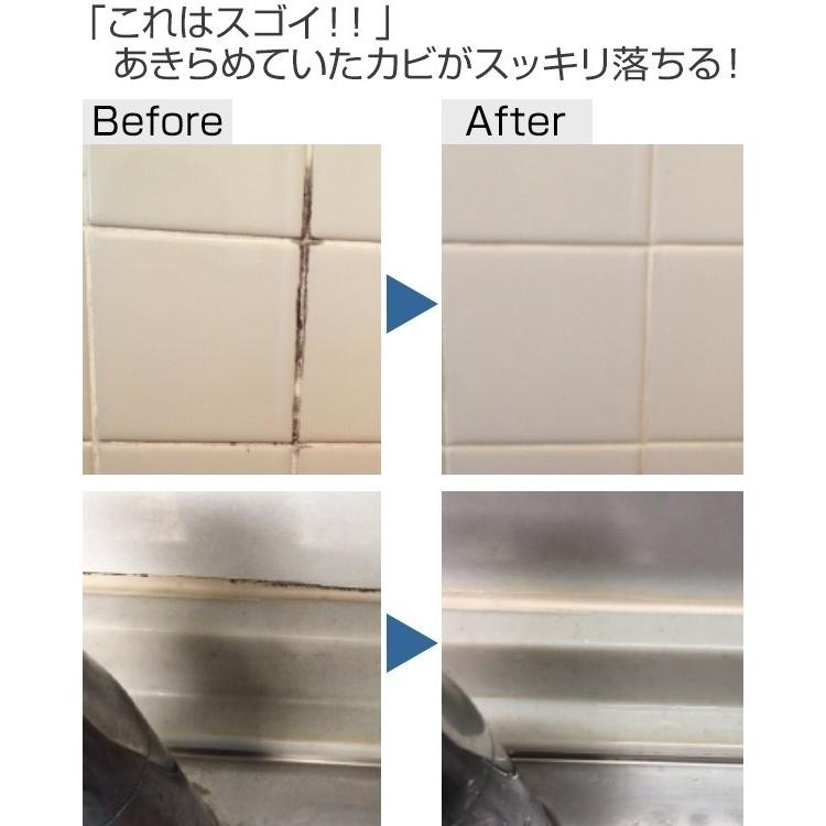 カビ取り かびとりいっぱつ カビ取りジェル 500ｇ カビとり剤 業務用 洗剤 カビ カビとり 風呂 お風呂 浴室 ジェル ゴムパッキン タイル 掃除 清掃 リビングート Paypayモール店 通販 Paypayモール