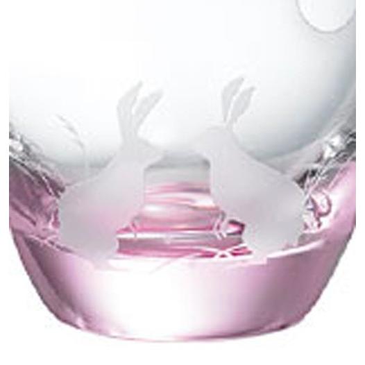 大塚ガラス サンドブラスト 月ウサギ カラフェ＆酒杯 16-756-5 化粧  