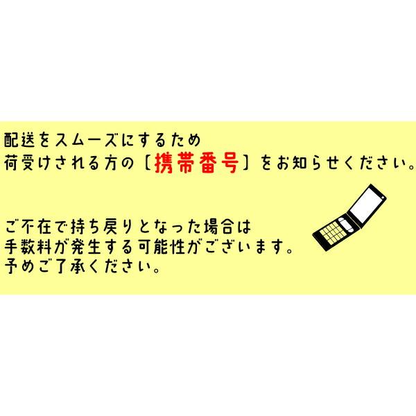 【4BOX1200】ドルフィン｜liviterasu｜04