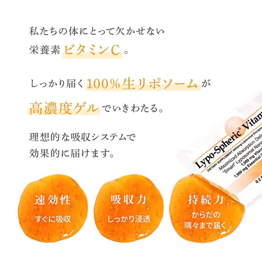 リポスフェリック30袋×2箱 【高濃度ビタミンC】