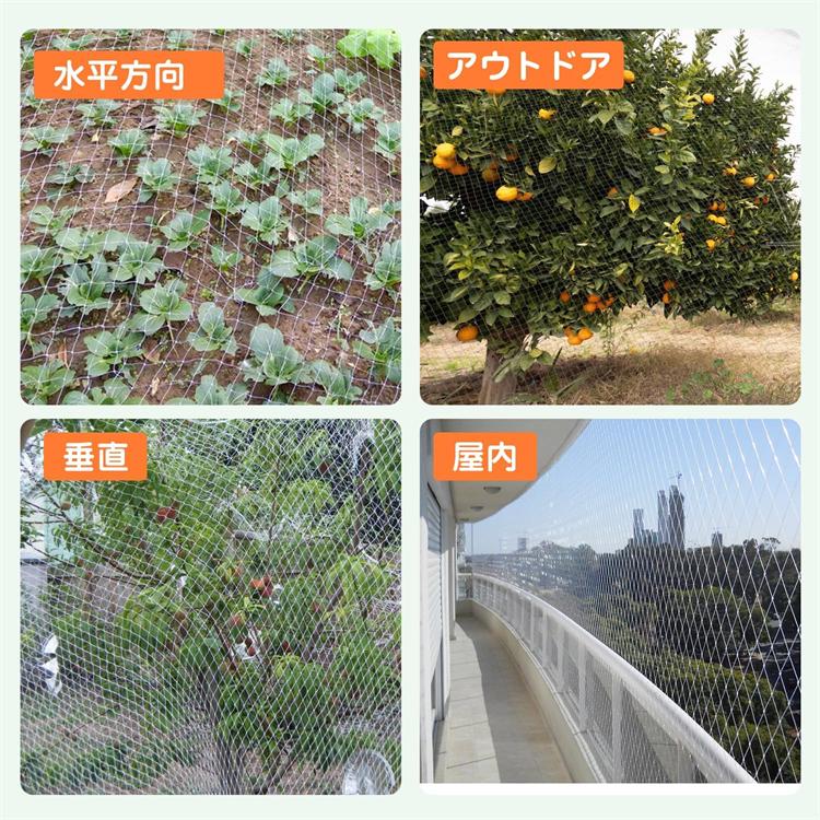 鳥よけネット 防鳥ネット 3m*6m 鳥避けネット 園芸つるネット 家庭菜園