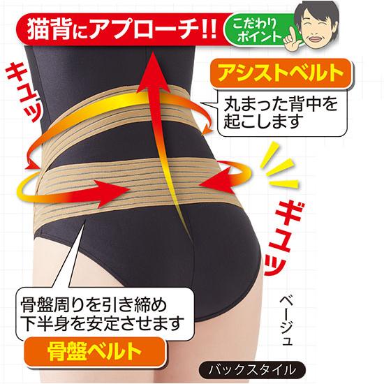 セルヴァン 接骨院の先生が監修した骨盤ベルト 日本製 骨盤