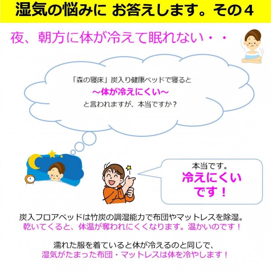 スノコベッド ふとん用 すのこベッド ダブル 森の寝床 竹炭入り ４分割フロアベッド 日本製 湿気対策 炭 除湿 脱臭 健康 片付け簡単 送料無料 Mori P10 生活創造工房リズモ 通販 Yahoo ショッピング