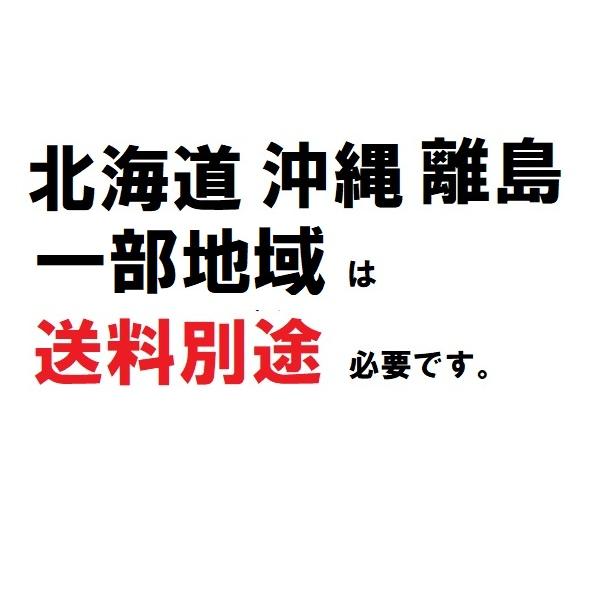 ウノックス　パニーニグリラー　PGS-2　FMI　ダブルプレート(2連式)　単相100V 業務用 新品 送料無料 |  | 02
