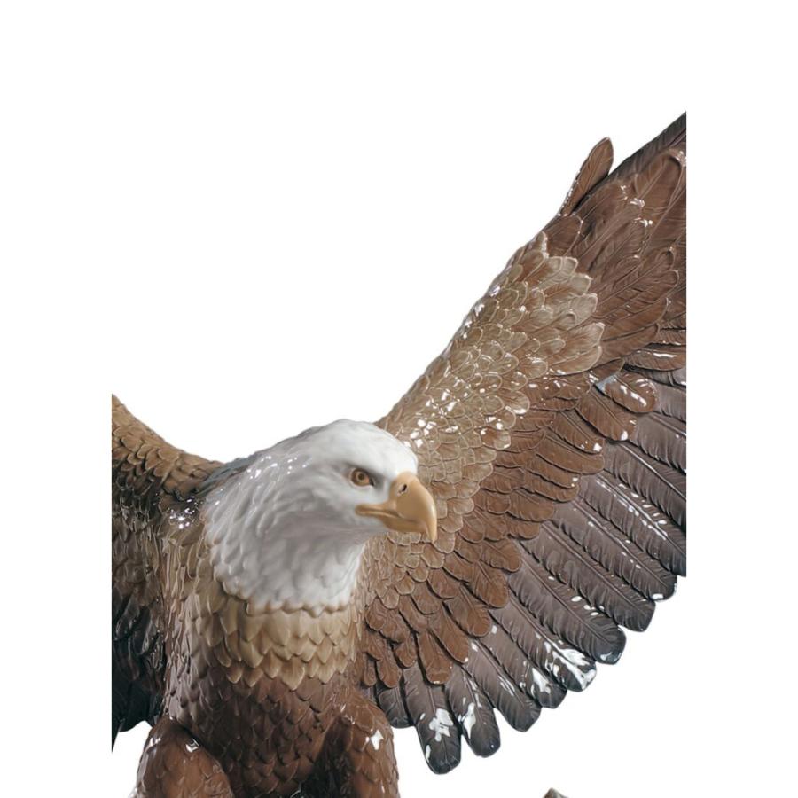 Lladro リヤドロ 鷲 鳥 白頭鷲 Freedom Eagle 9245 リヤドロ大好き 通販 Yahoo ショッピング