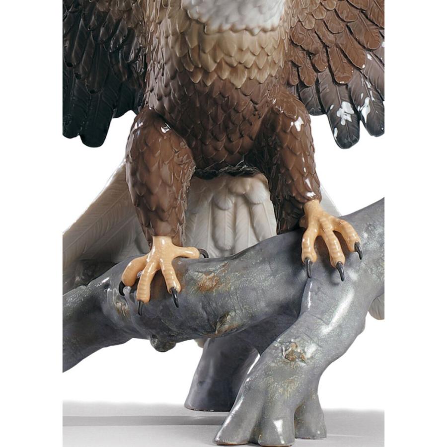 Lladro リヤドロ 鷲 鳥 白頭鷲 Freedom Eagle 9245 リヤドロ大好き 通販 Yahoo ショッピング