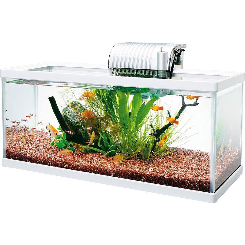テトラ オールグラスアクアリウム5 熱帯魚セット 水槽