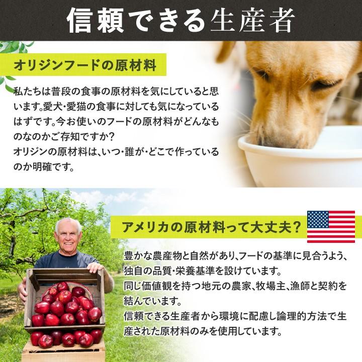 オリジン キャット&キトゥン 5.4kg キャットフード ORIJEN 【正規品