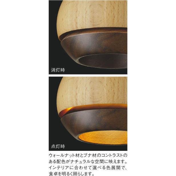 KOIZUMI - AP50284 シャンデリヤ点火装置 LED一体型 非調光 60W好いかげんに  傾斜角度上昇限度打っ付け能力のある フランジタイプ guli   NATURAL ベーシック