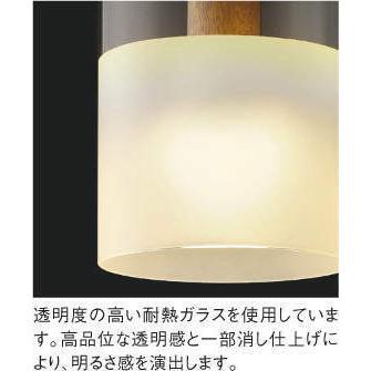KOIZUMI AP40502L ペンダントライト LED一体型 非調光 60W相当