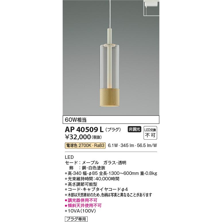 KOIZUMI（コイズミ） AP40509L ペンダントライト LED一体型 非調光 60W
