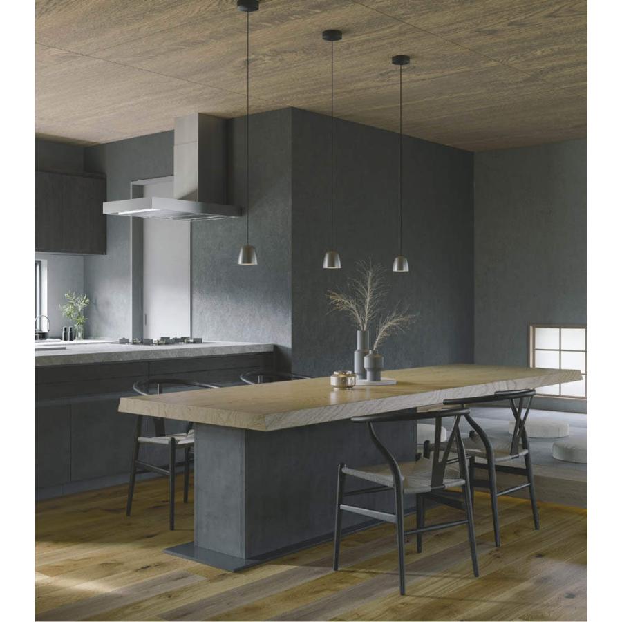 KOIZUMI（コイズミ） AP52357 ペンダントライト LED一体型 位相調光