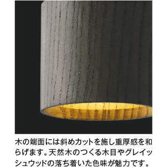 KOIZUMI AP53980 ペンダントライト LED一体型 非調光 60W相当 KOIZUMI AP53980 ペンダントライト LED一体型 非調光 60W相当