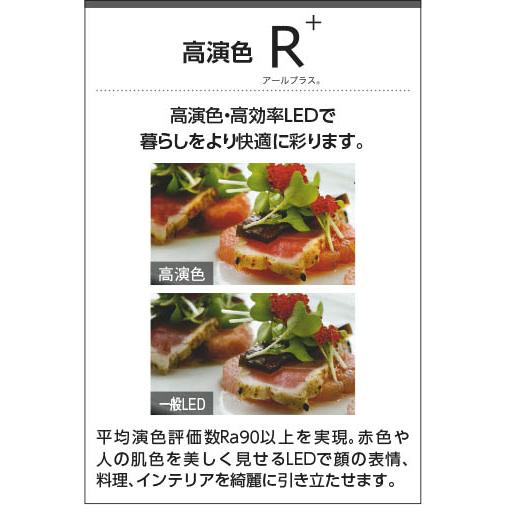 KOIZUMI（コイズミ） AD7206W27 ダウンライト LED一体型 防雨・防湿型