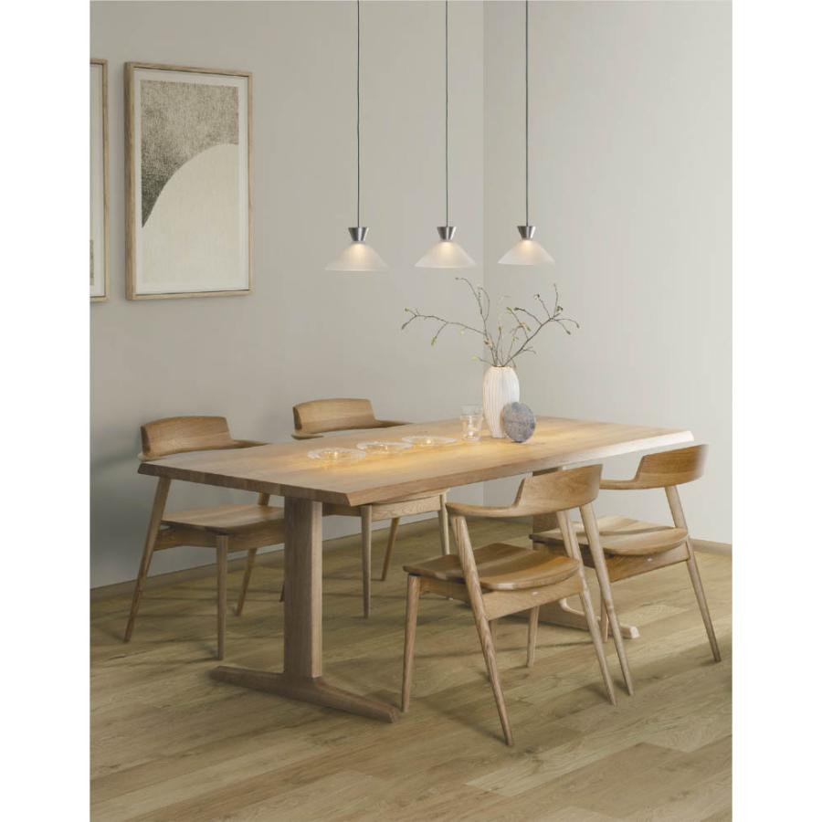 KOIZUMI（コイズミ） AP55537 ペンダントライト LED一体型 非調光 60W