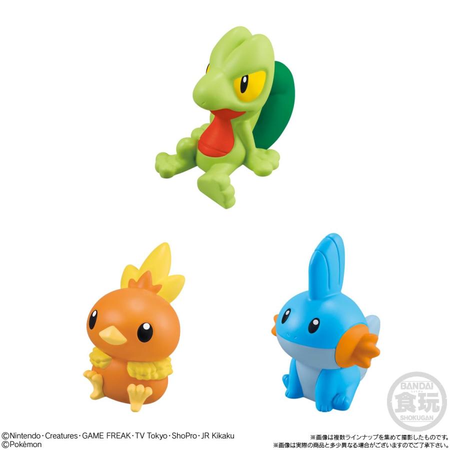 BANDAI（バンダイ） 予約2026年8月発売 ラッピング対応 ポケモンキッズ